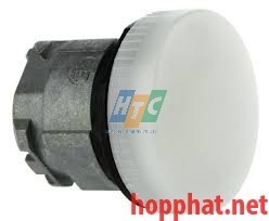 PILOT LIGHT HEAD - ZB4BV01